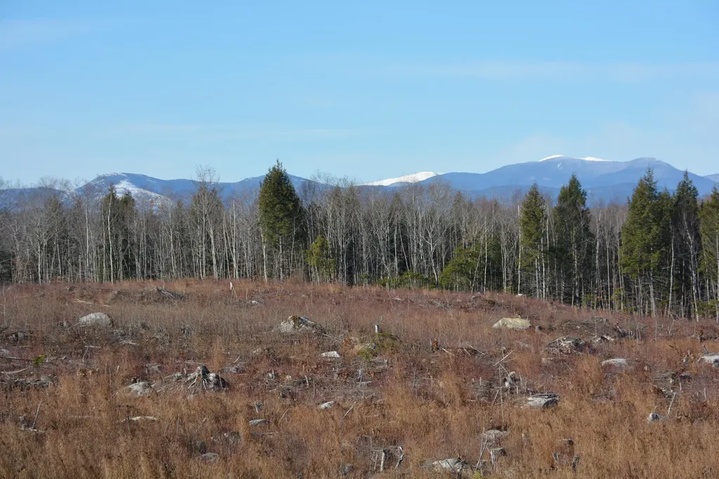 0 French Hill Road Albany Twp ME 04217