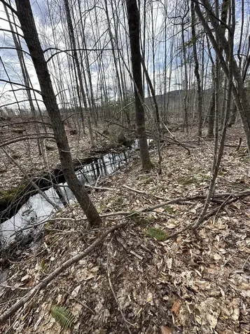 0 French Hill Road Albany Twp ME 04217