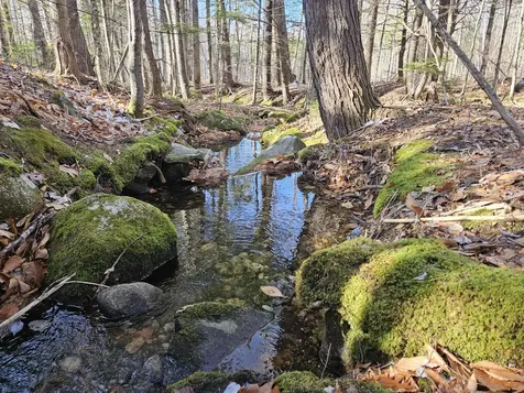 0 French Hill Road Albany Twp ME 04217