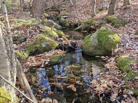 0 French Hill Road Albany Twp ME 04217