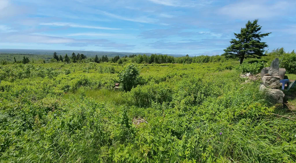 533 Mount Ephraim Road Searsport ME 04974
