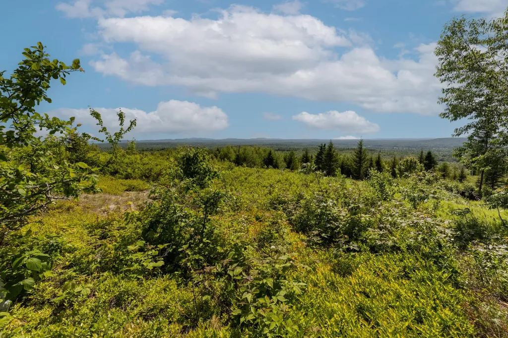 533 Mount Ephraim Road Searsport ME 04974