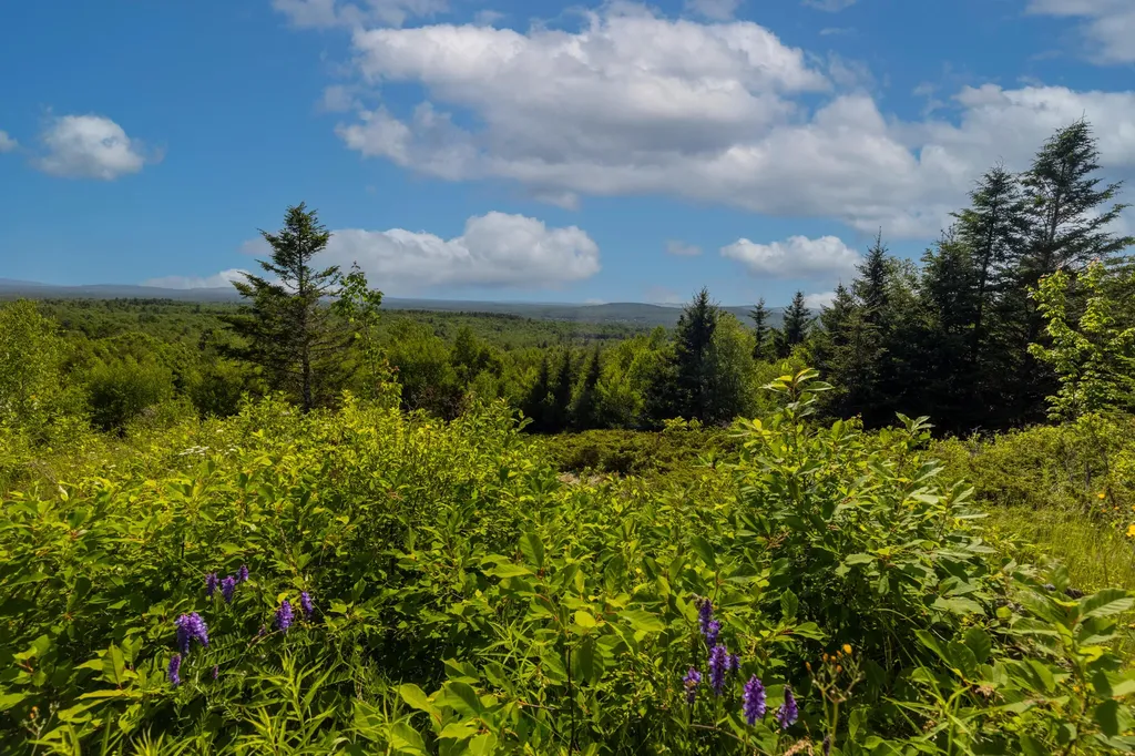 533 Mount Ephraim Road Searsport ME 04974