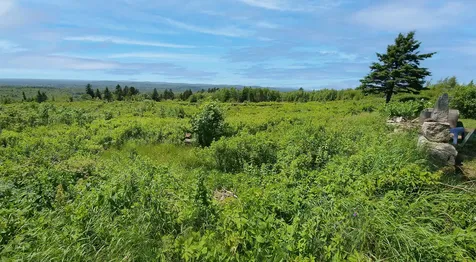 533 Mount Ephraim Road Searsport ME 04974