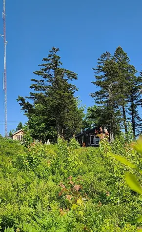 533 Mount Ephraim Road Searsport ME 04974