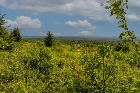 533 Mount Ephraim Road Searsport ME 04974