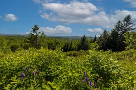 533 Mount Ephraim Road Searsport ME 04974