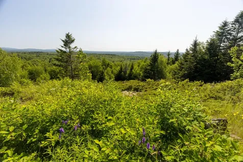 533 Mount Ephraim Road Searsport ME 04974