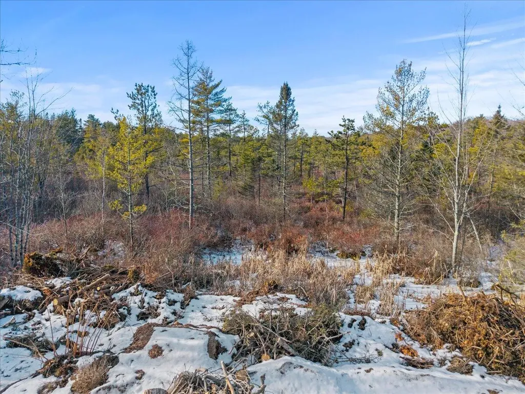 Lot# 0 Alewive Road Lyman ME 04002