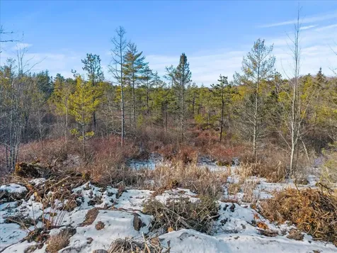 Lot# 0 Alewive Road Lyman ME 04002