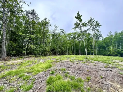Lot 35a Norton Ridge Road Shapleigh ME 04076