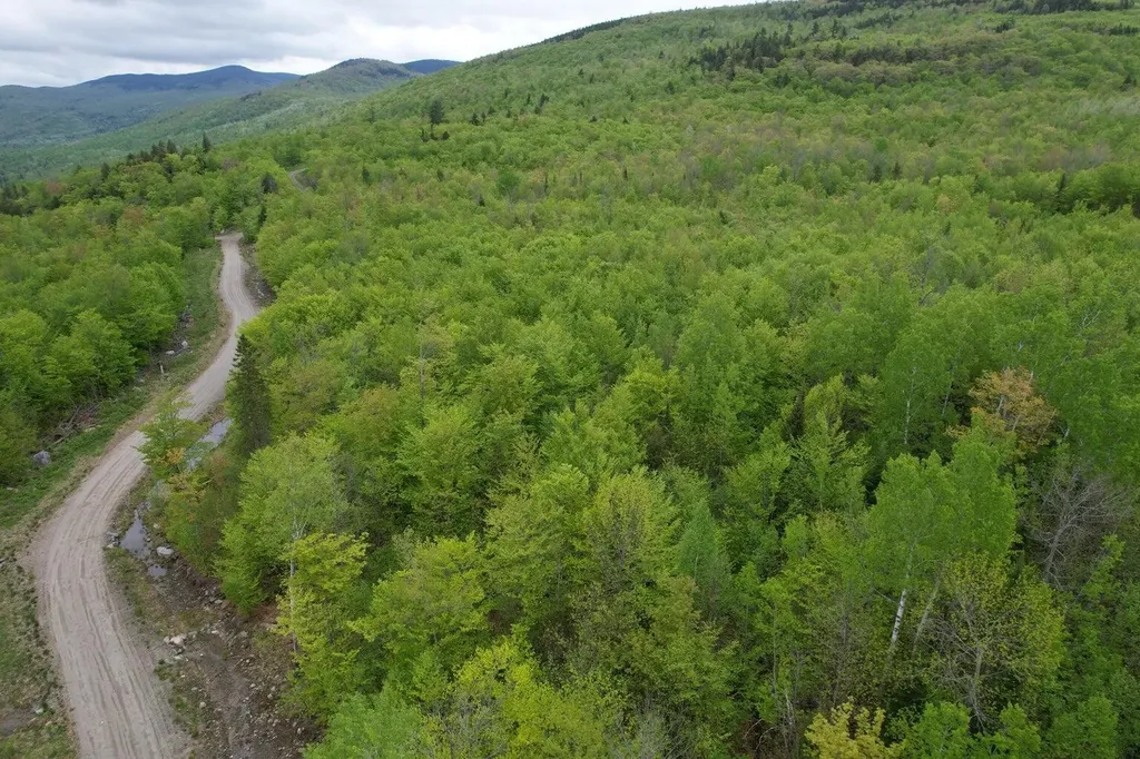 Lot 7 Hollis Drive Kingfield ME 04947