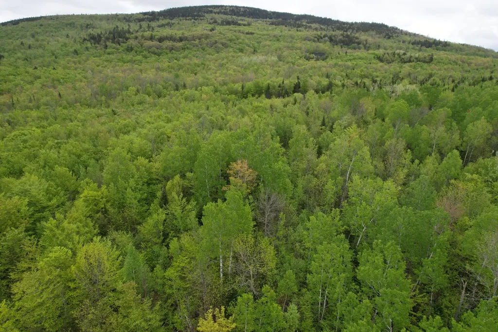 Lot 9 Final Drive Kingfield ME 04947