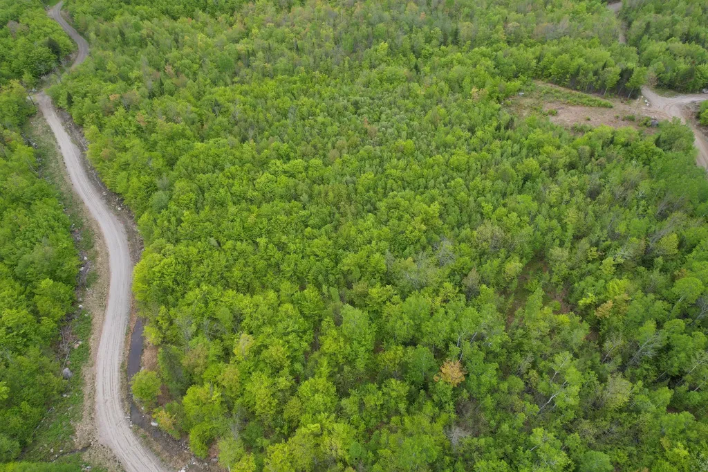 Lot 9 Final Drive Kingfield ME 04947