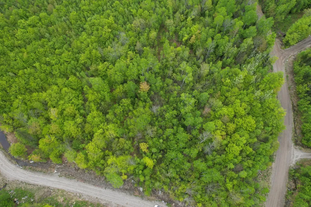 Lot 9 Final Drive Kingfield ME 04947