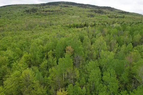 Lot 9 Final Drive Kingfield ME 04947