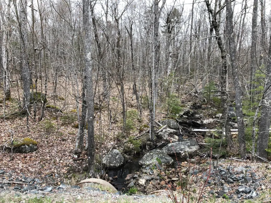 Map 109 Lot 16 Winkumpaugh Road Ellsworth ME 04605
