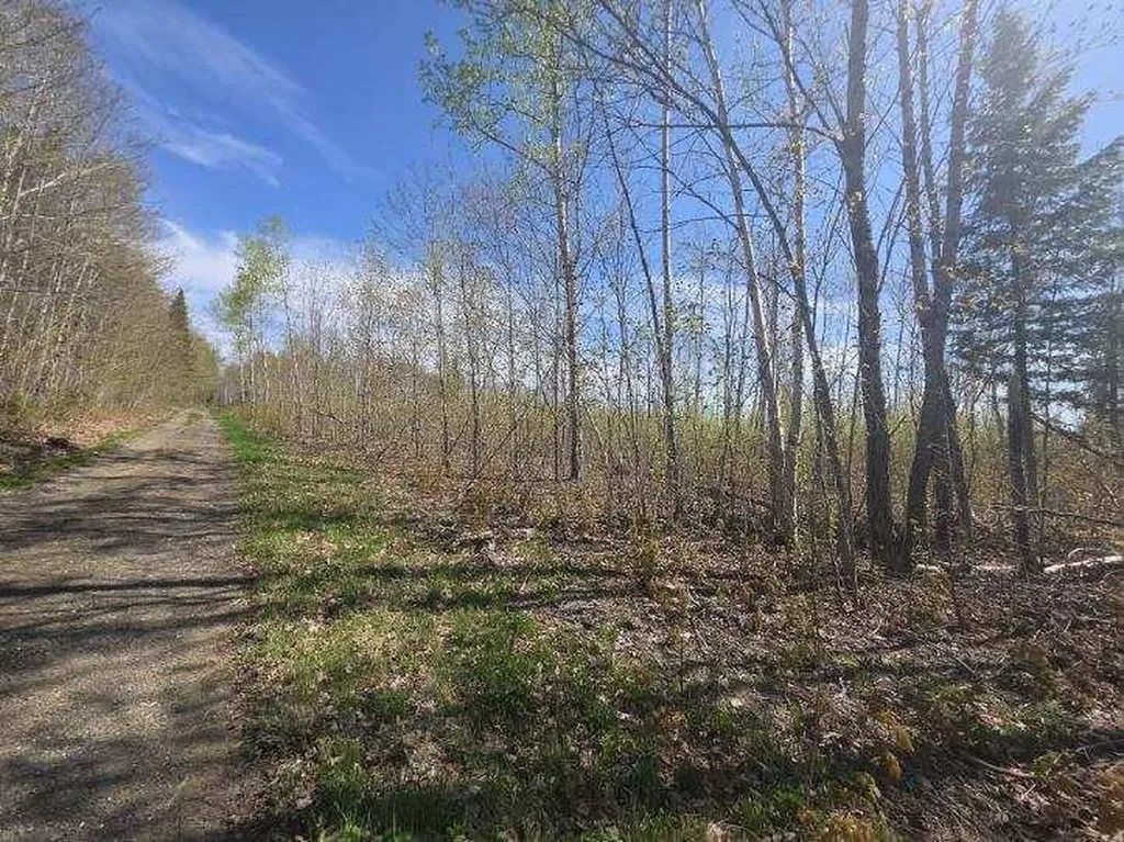 MAP4LOT4B Off Conroy Road Perham ME 04766