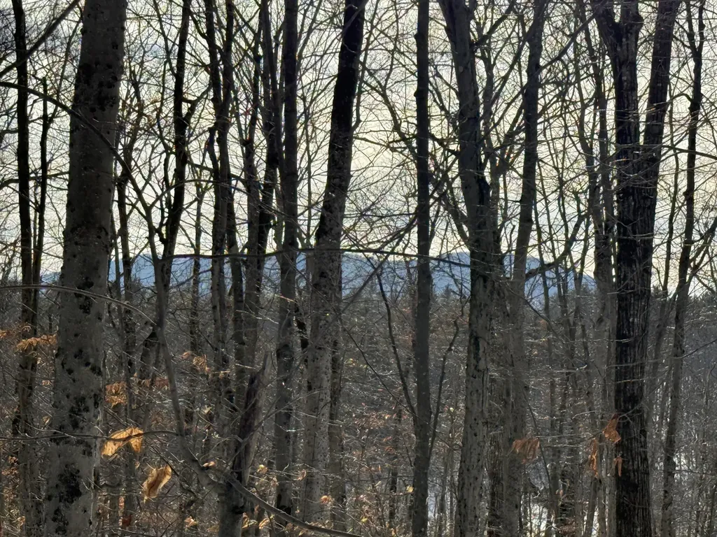 Lot 15-3b Sweden Road Bridgton ME 04009