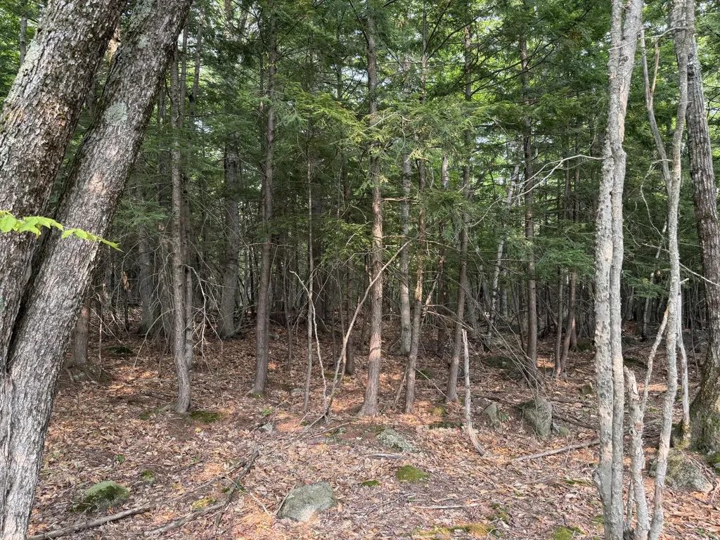 Lot 15-3b Sweden Road Bridgton ME 04009