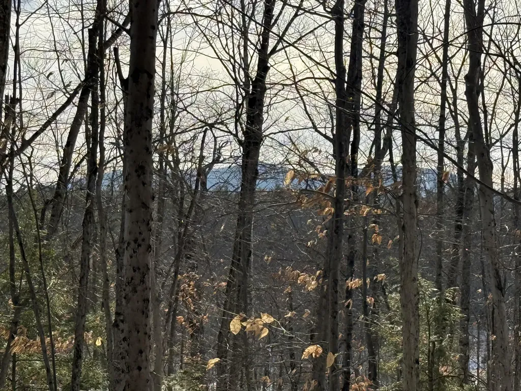 Lot 15-3b Sweden Road Bridgton ME 04009