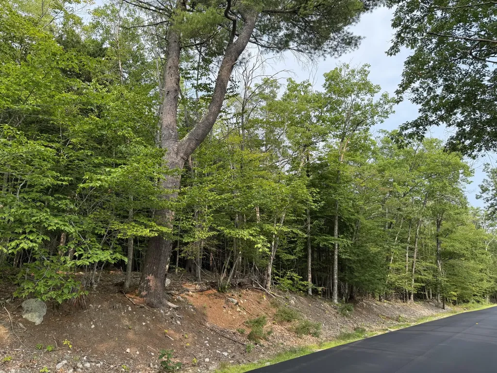 Lot 15-3b Sweden Road Bridgton ME 04009