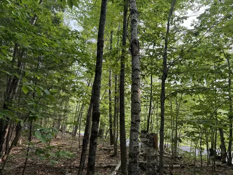 Lot 15-3b Sweden Road Bridgton ME 04009