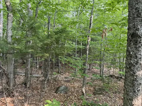 Lot 15-3b Sweden Road Bridgton ME 04009