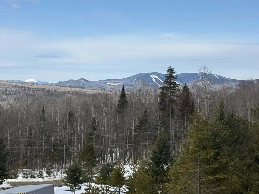 3 Moose Ridge Hanover ME 04237