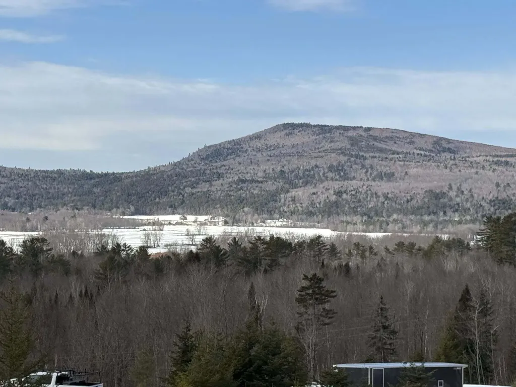 3 Moose Ridge Hanover ME 04237
