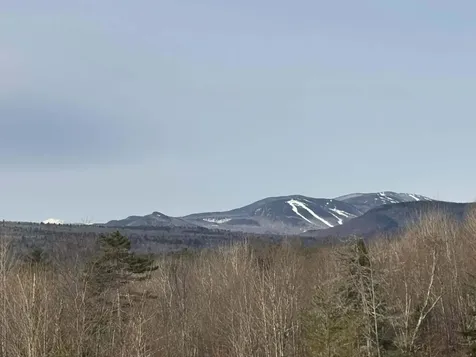 3 Moose Ridge Hanover ME 04237