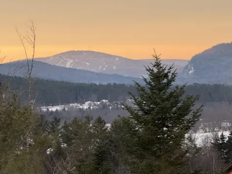 3 Moose Ridge Hanover ME 04237