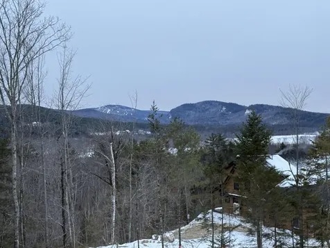3 Moose Ridge Hanover ME 04237