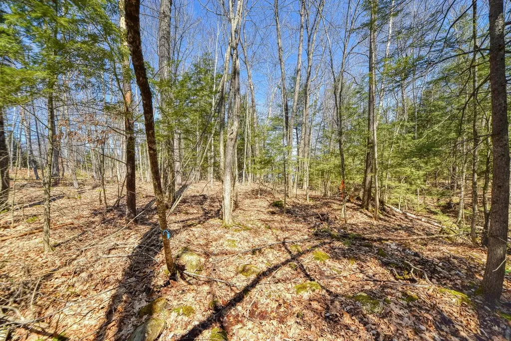 0 Route 9-126 Litchfield Drive Litchfield ME 04350