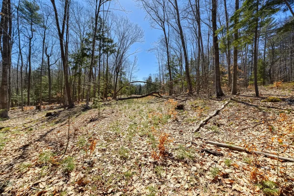 0 Route 9-126 Litchfield Drive Litchfield ME 04350