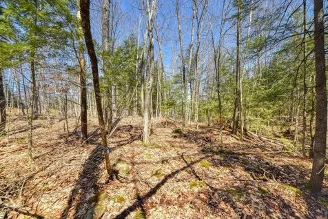 0 Route 9-126 Litchfield Drive Litchfield ME 04350