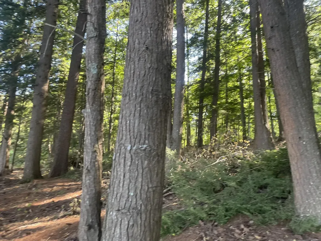 0 Route9-126 Road Litchfield ME 04350