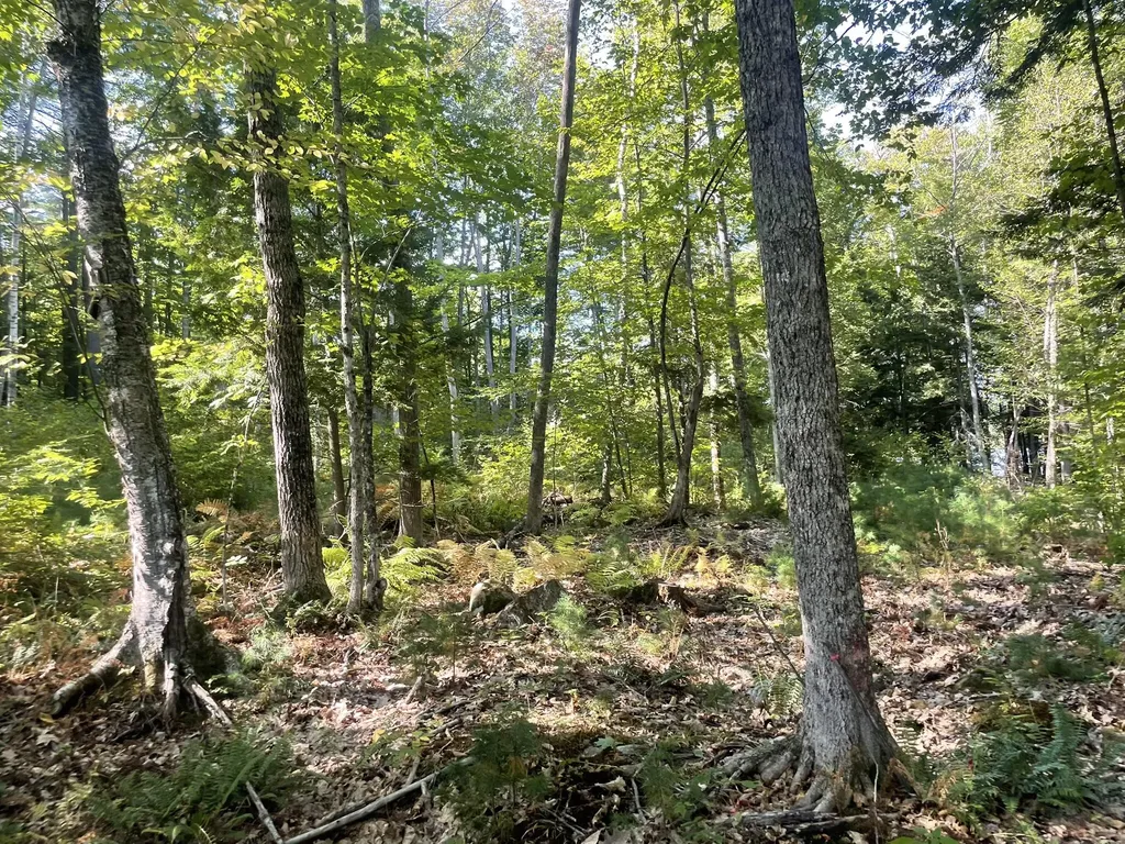 0 Route9-126 Road Litchfield ME 04350