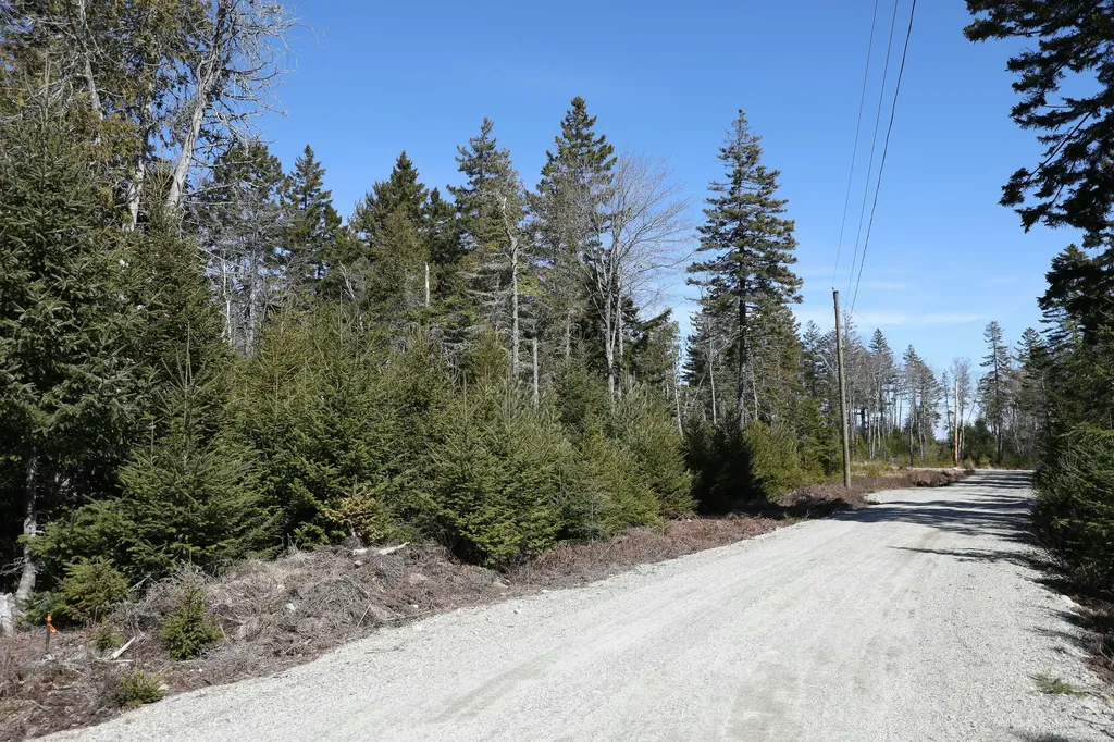 Lot 10 4r2 Pine Cone Lane Surry ME 04684