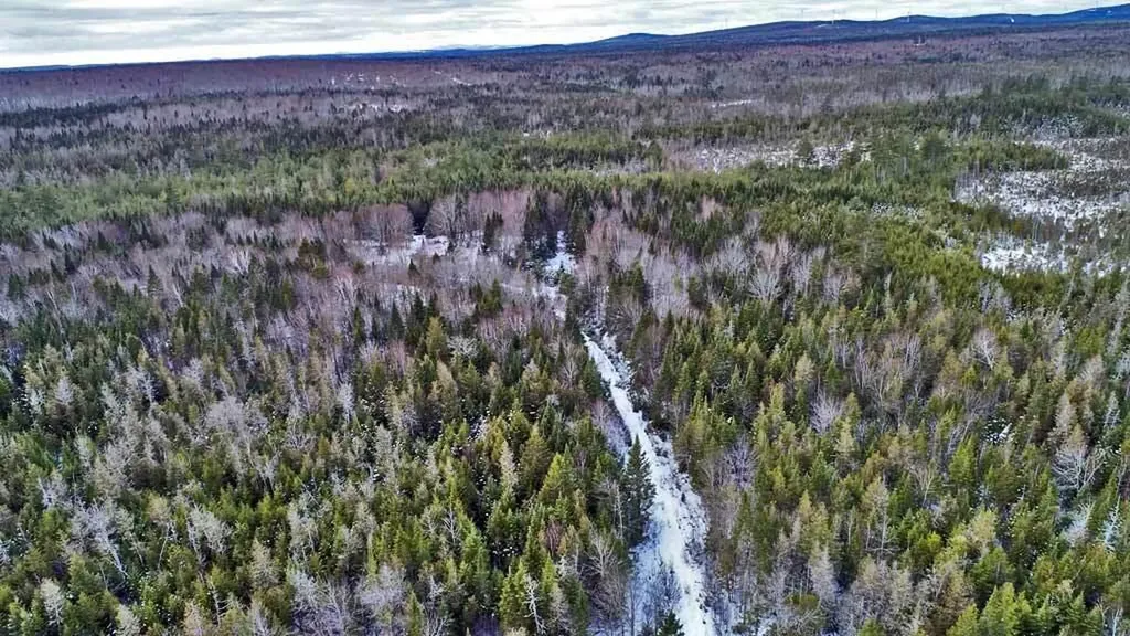 Lot 57 Fire Road Linneus ME 04730