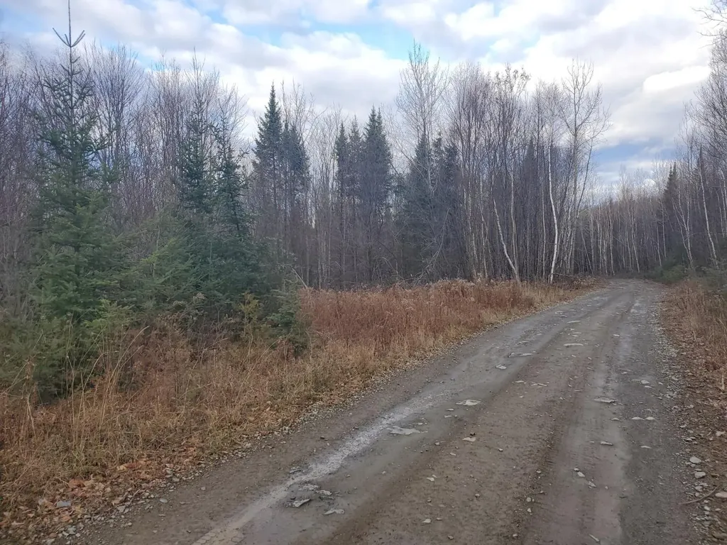 Lot 4 West Of May Mountain Road Island Falls ME 04747