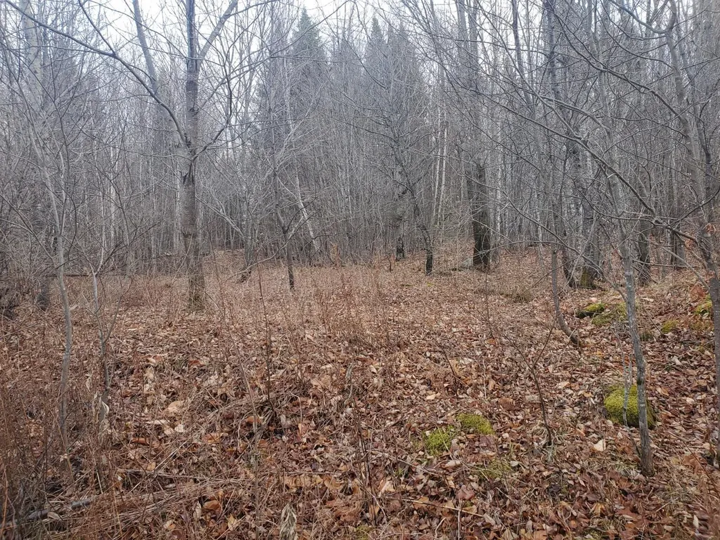 Lot 4 West Of May Mountain Road Island Falls ME 04747