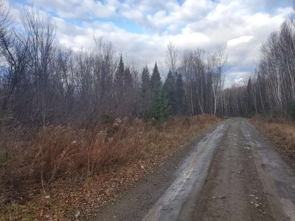 Lot 4 West Of May Mountain Road Island Falls ME 04747