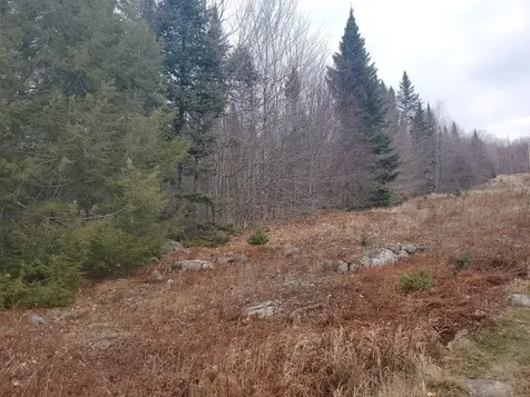 Lot 4 West Of May Mountain Road Island Falls ME 04747