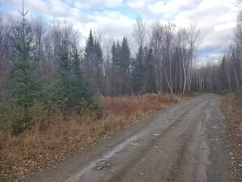 Lot 4 West Of May Mountain Road Island Falls ME 04747