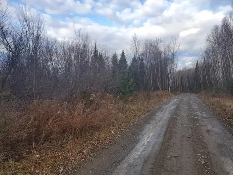 Lot 4 West Of May Mountain Road Island Falls ME 04747
