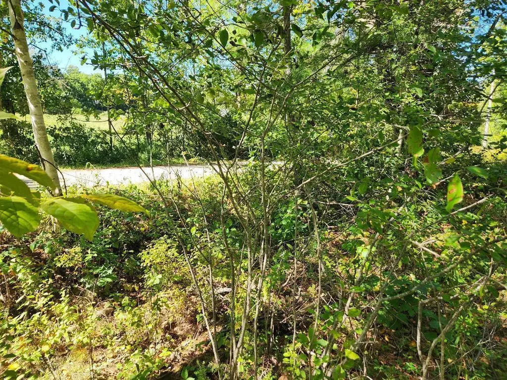 28 Cemetery Road Montville ME 04941