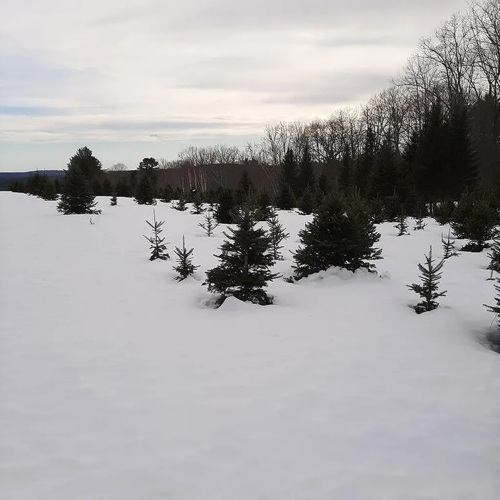 159 Moose Hill Road Fayette ME 04349