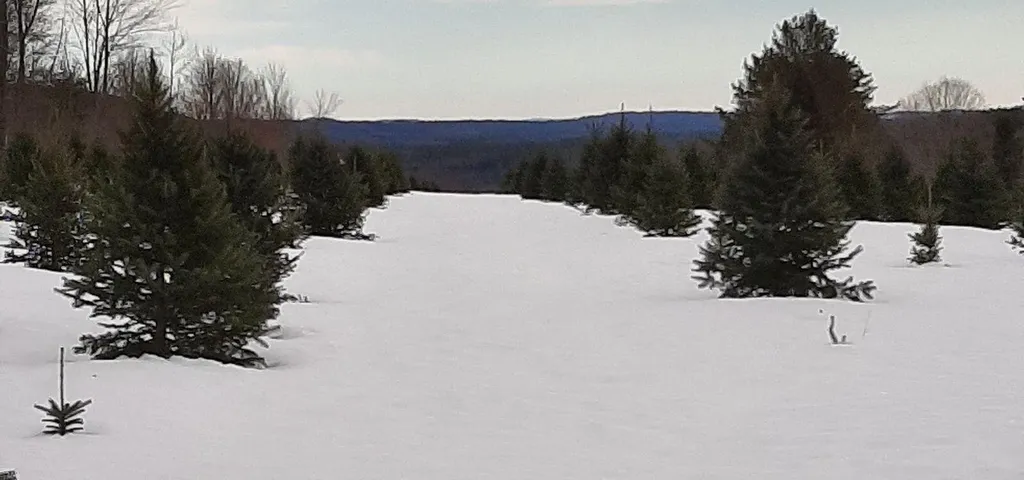 159 Moose Hill Road Fayette ME 04349