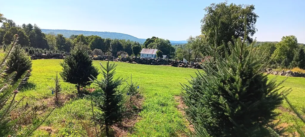 159 Moose Hill Road Fayette ME 04349